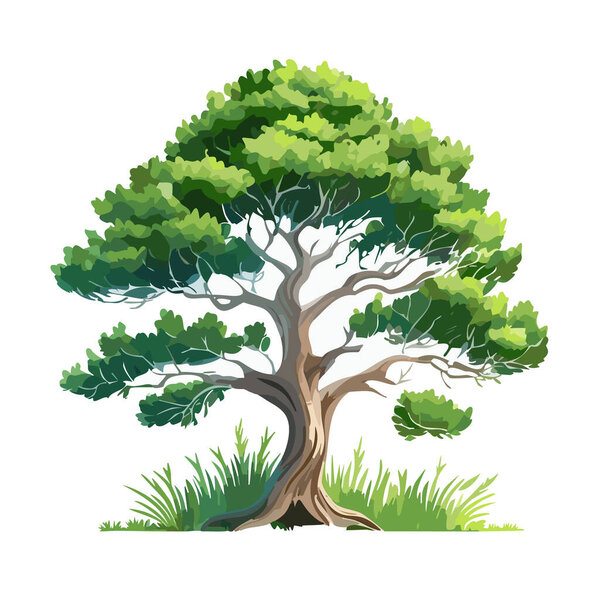 Pine tree vector art landscape illustration design