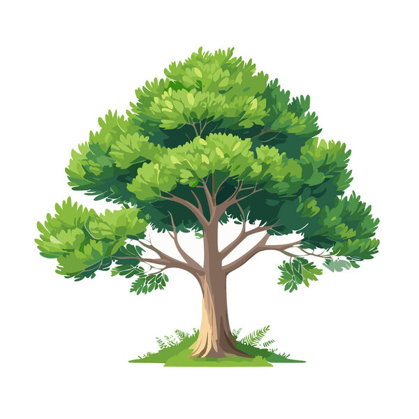 Pine tree vector art landscape illustration design