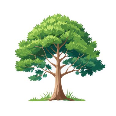 Çam ağacı vektör sanat çizimi tasarımı