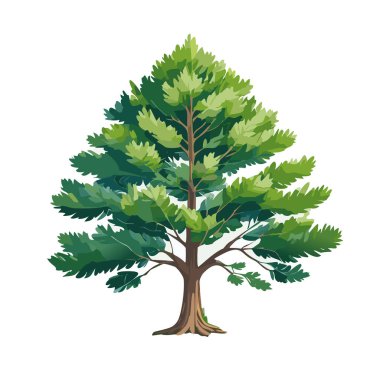 Çam ağacı vektör sanat çizimi tasarımı
