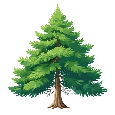 Çam ağacı vektör sanat çizimi tasarımı