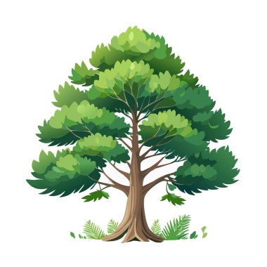 Çam ağacı vektör sanat çizimi tasarımı
