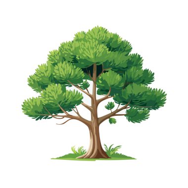 Çam ağacı vektör sanat çizimi tasarımı