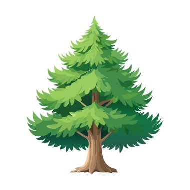 Çam ağacı vektör sanat çizimi tasarımı