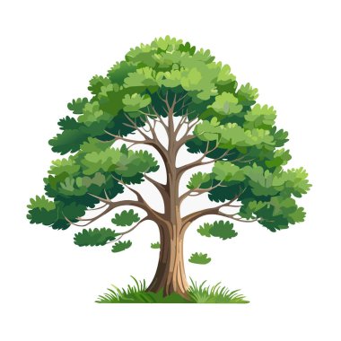 Çam ağacı vektör sanat çizimi tasarımı