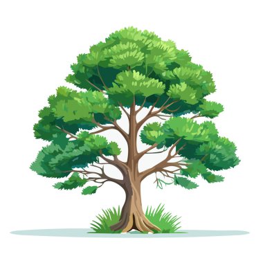 Çam ağacı vektör sanat çizimi tasarımı