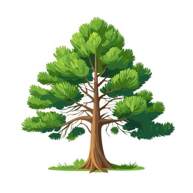 Çam ağacı vektör sanat çizimi tasarımı