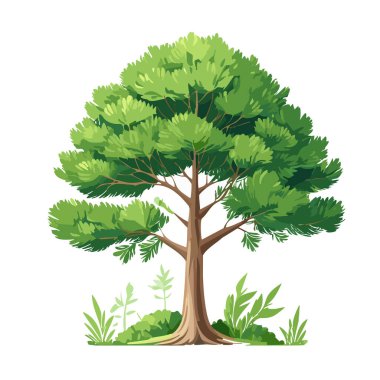 Çam ağacı vektör sanat çizimi tasarımı