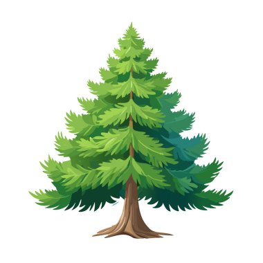 Çam ağacı vektör sanat çizimi tasarımı