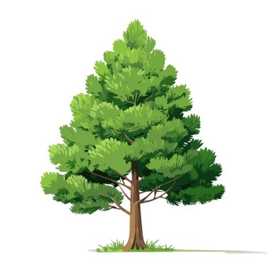 Çam ağacı vektör sanat çizimi tasarımı