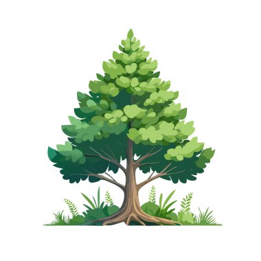 Çam ağacı vektör sanat çizimi tasarımı