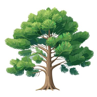 Çam ağacı vektör sanat çizimi tasarımı