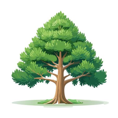 Çam ağacı vektör sanat çizimi tasarımı