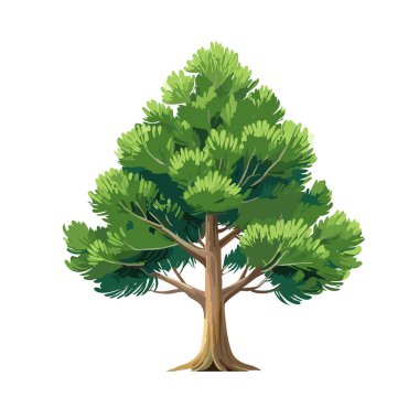 Çam ağacı vektör sanat çizimi tasarımı