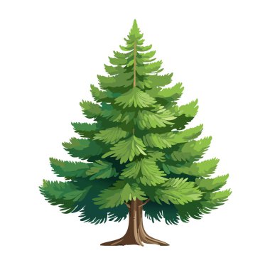 Çam ağacı vektör sanat çizimi tasarımı