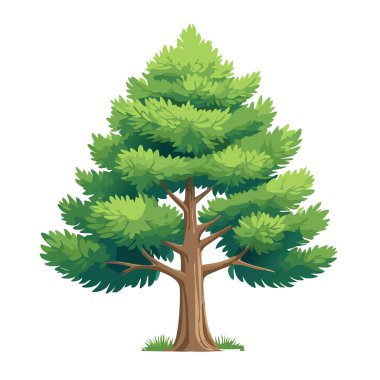 Çam ağacı vektör sanat çizimi tasarımı