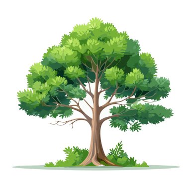 Çam ağacı vektör sanat çizimi tasarımı