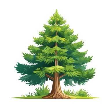 Çam ağacı vektör sanat çizimi tasarımı