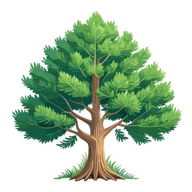 Çam ağacı vektör sanat çizimi tasarımı