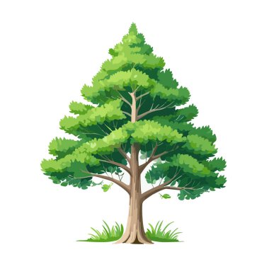 Çam ağacı vektör sanat çizimi tasarımı