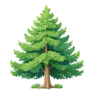 Çam ağacı vektör sanat çizimi tasarımı
