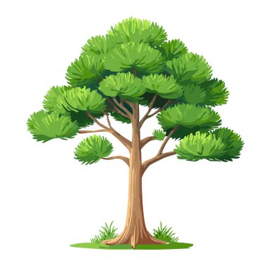 Çam ağacı vektör sanat çizimi tasarımı