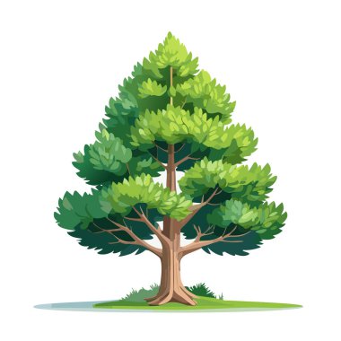 Çam ağacı vektör sanat çizimi tasarımı