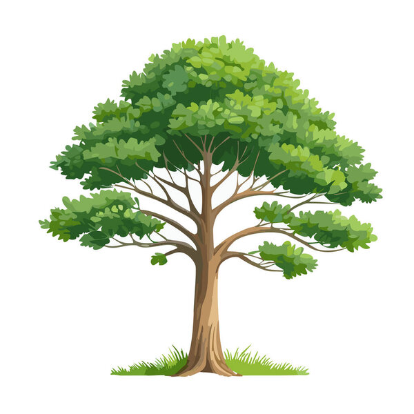 Pine tree vector art landscape illustration design