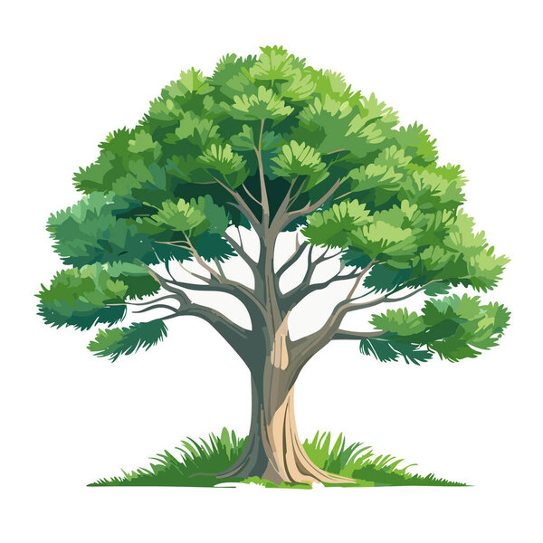 Pine tree vector art landscape illustration design
