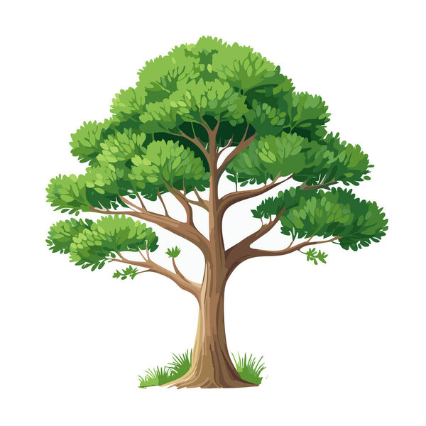 Pine tree vector art landscape illustration design