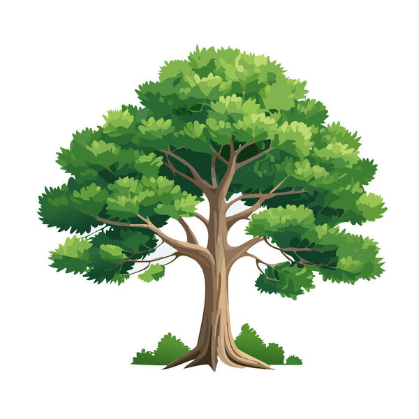Pine tree vector art landscape illustration design