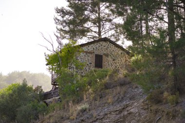 Ormanda terk edilmiş bir ev. Yüksek kalite fotoğraf