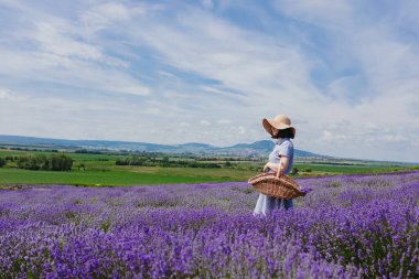 Lavanta tarlasında yürüyen güzel genç kadınlar. Dinleniyor. Kaliteli bir fotoğraf.