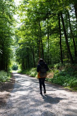  Ormanda sepeti olan bir kadın turist. Yüksek kalite fotoğraf
