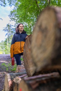  Ormandaki ağaç kütüklerinde duran kadın turist. Yüksek kalite fotoğraf
