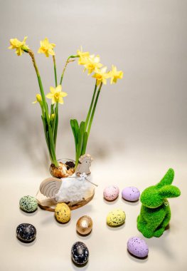 Parlak sarı çiçekler süslü bir tavşanın ve renkli yumurtaların yanında dururlar. Paskalya kutlamaları ve aile toplantıları için mükemmel bir bahar atmosferi yaratırlar..