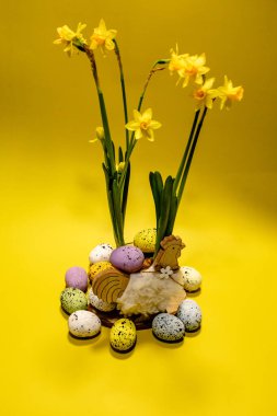 Canlı bir Paskalya süsü, tavuk şeklinde dekoratif bir kurabiyenin etrafına dizilmiş renkli benekli yumurtalar içerir, taze nergisler neşe katar..