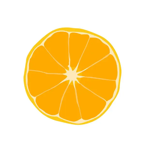 Sulu Portakal Diliminin Vektör İllüstrasyonu Üst Görünümü