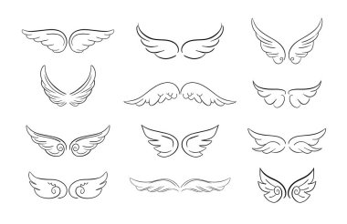 Kanat çiftinin vektör çizimi izole edilmiş beyaz