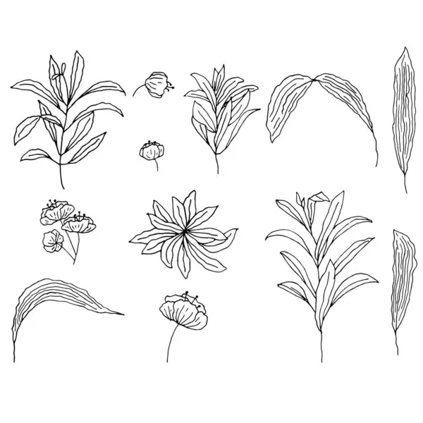 Hand drawn watercolor set of flowers
