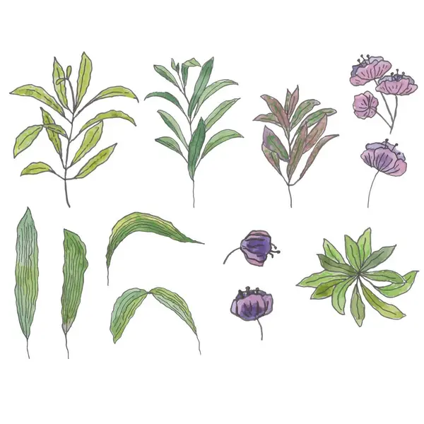 Hand drawn watercolor set of flowers