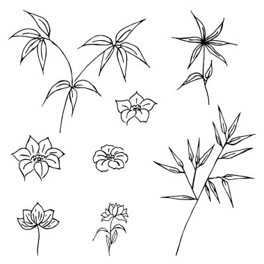 El çizimi yabani çiçekler. Tarla çiçekleri Çizgi