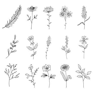 El çizimi yabani çiçekler. Tarla çiçekleri Fantezi çiçekleri. Çizgi
