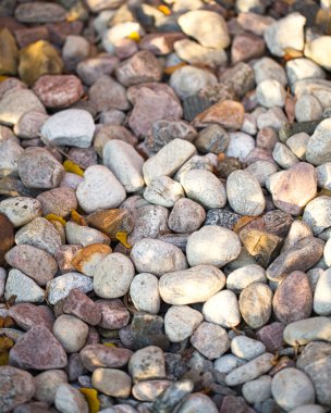 Doğal ışık altında çeşitli pürüzsüz nehir taşlarının yakın plan fotoğrafı, çeşitli şekilleri, dokuları ve toprak tonlarını sergiliyor, gri, beyaz, pembe ve kahverengi, dağınık sarı yapraklarla bir kontrast dokunuşu ekliyor.