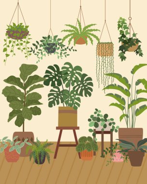 Şehir Ormanı Salon Bitkileri Stüdyosu