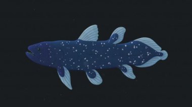 Coelacanth Yaşayan Fosil Eski Balık İlkel Döngü Canlandırması