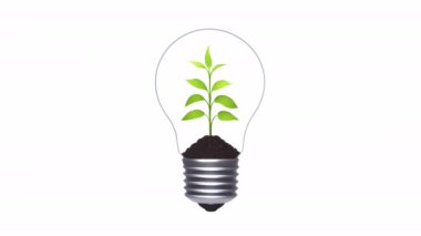 İçinde bitki filizi olan ekolojik ampul. Yeşil enerji tasarrufu kavramı, yenilenebilir enerji ve geri dönüşüm. Küresel ısınma için ekoloji davranışı.