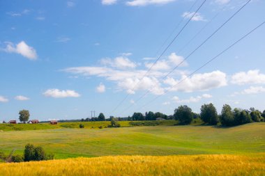 Yeşil ve sarı tarlaların üzerinde elektrik kabloları ve arka planda orman ve çiftlikler var. Norveç 'te Alan.