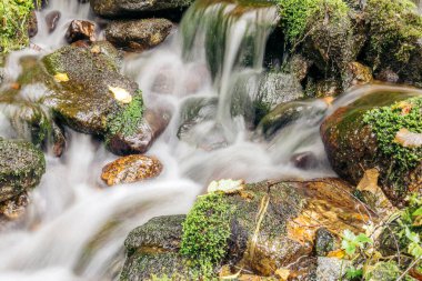 Rendalen 'in Norveç dağlarında küçük bir dere bulundu. Norveç 'te yaz.