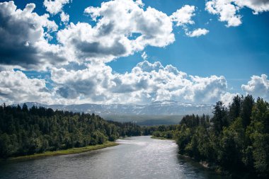 Yeşil ormanlarla çevrili bir nehir, Kuzey Norveç 'te mavi ve bulutlu gökyüzünün altında bir dağ.